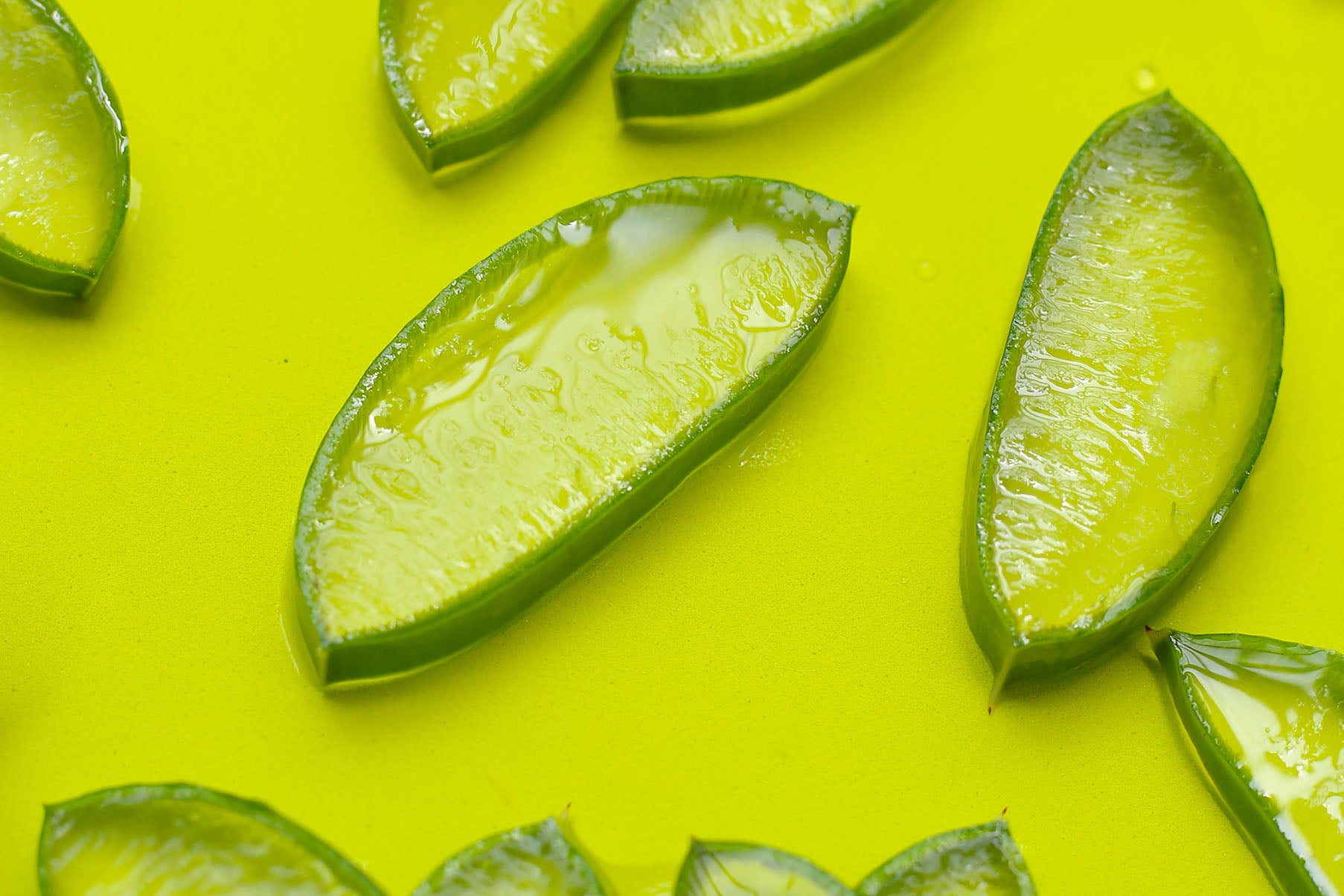 Aloe Vera