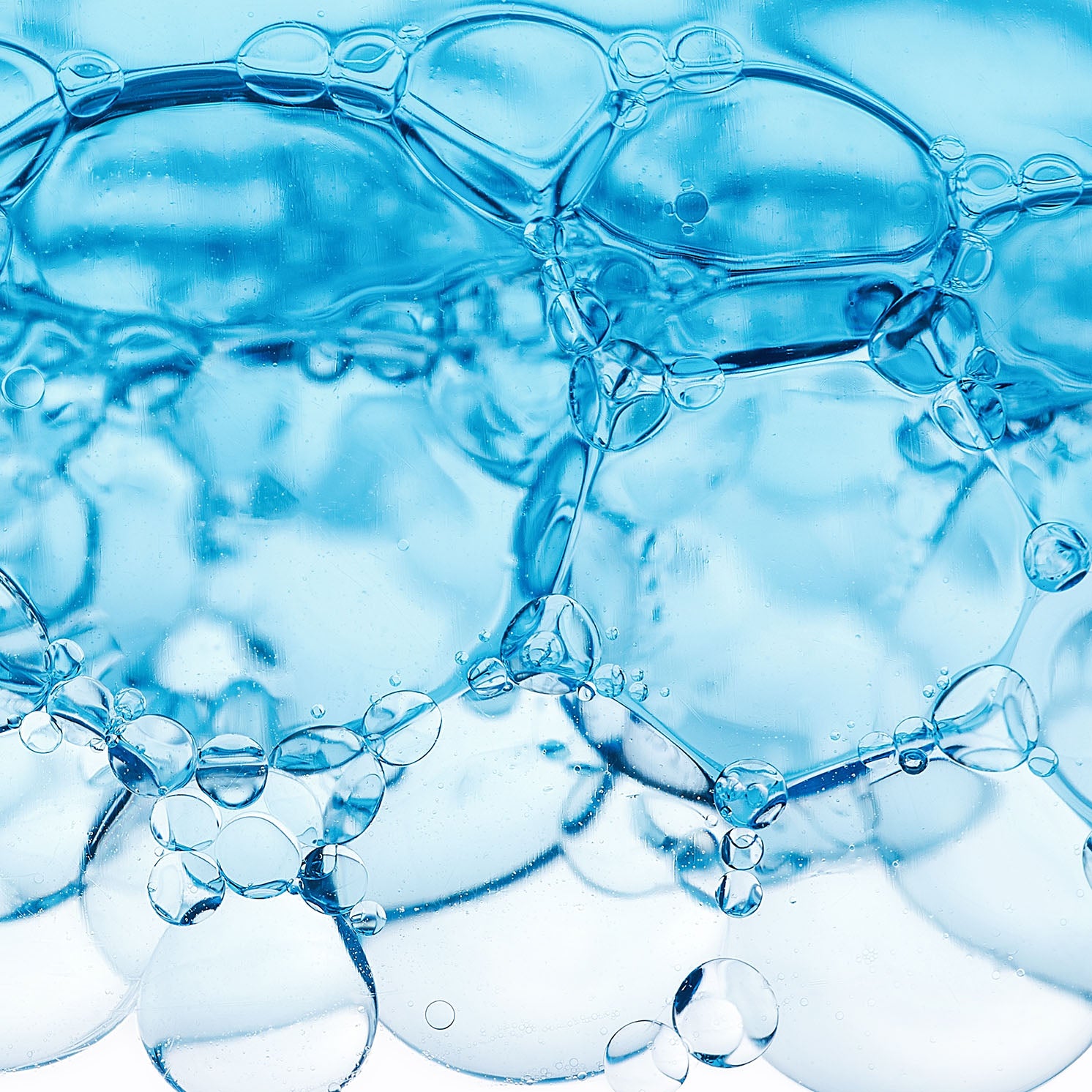 Hydrolyzed Collagen