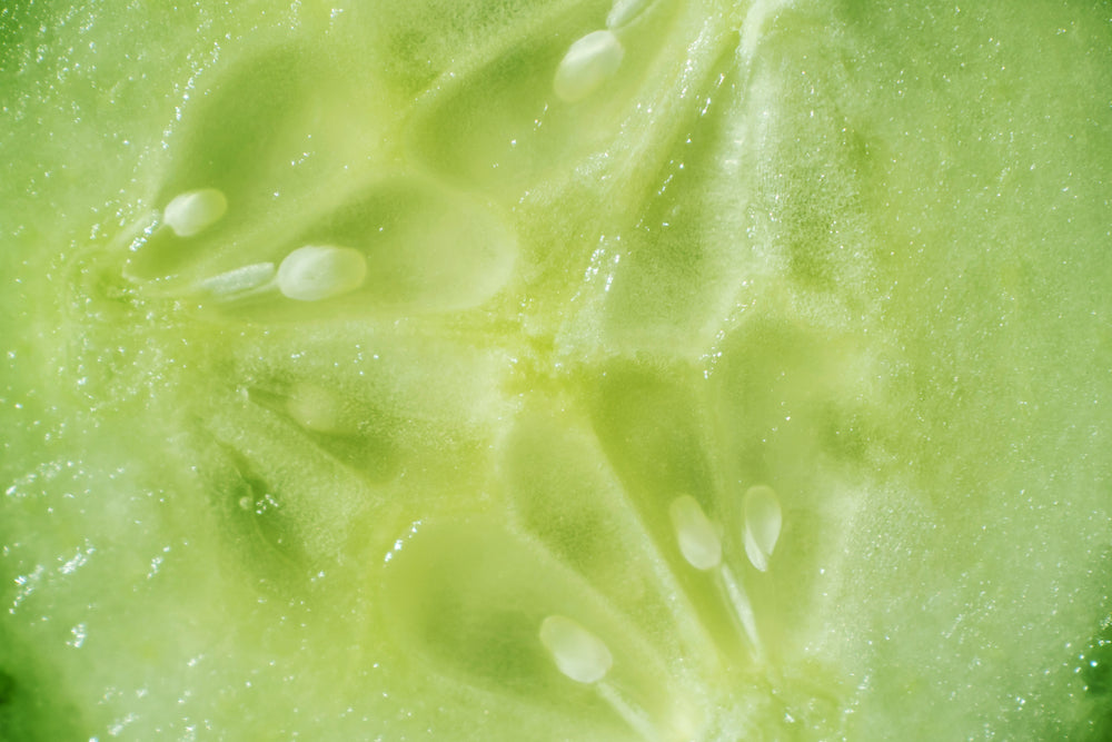 Cucumber Fruit Extract