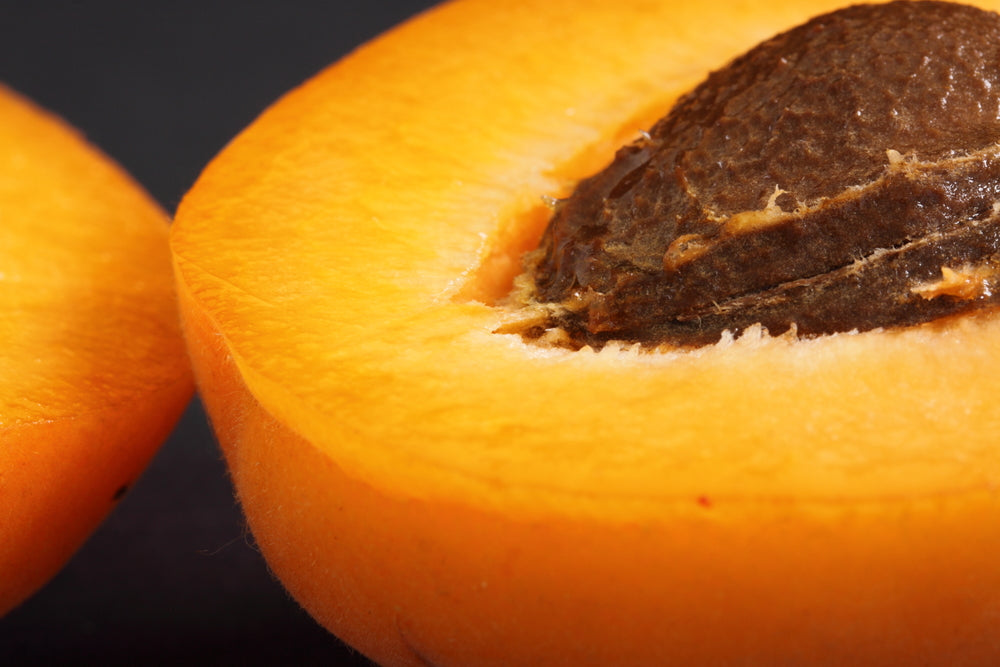 Fine Apricot Seed Powder &amp; Perlite